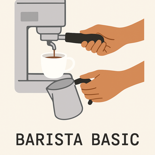 Barista Basic Workshop – 2–4 Std.